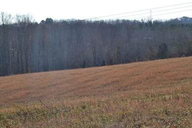 90+/-Acres Old Rhea Springs Rd, Spring City, TN 37381 - photo 5