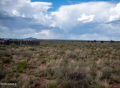 664 E Cimmaron Strip, Valle, AZ 86046 - photo 4