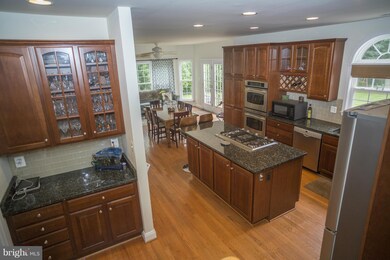 19606 Lovella Country Ct, Purcellville, VA 20132 - photo 7