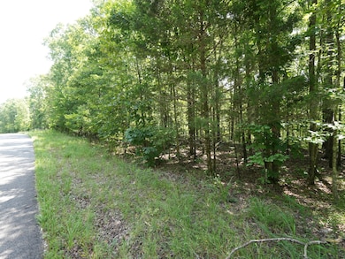 5 Tummins Rd, McEwen, TN 37101 - photo 7