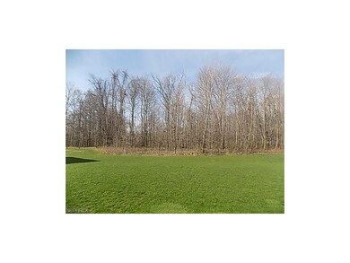 Woods behind the lot will fill in and private secl