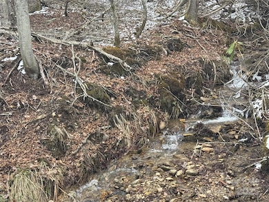 640 Hemlock Ln, Mars Hill, NC 28754 - photo 3