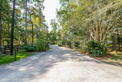 10223 Woodlane Blvd, Magnolia, TX 77354 - photo 3