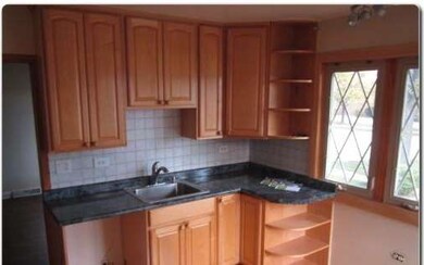 4644 25th Ave, Schiller Park, IL 60176 - photo 4