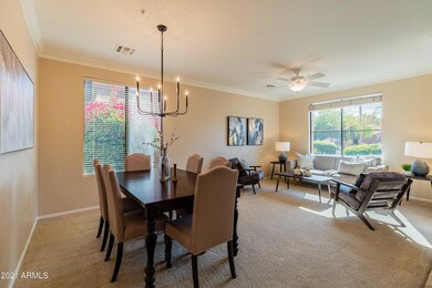 Dining + living room