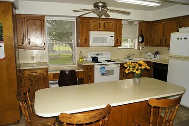 917 Heisse St, Alvin, TX 77511 - photo 7