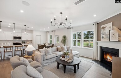 345 Mont Haven Place, Lexington, SC 29072 - photo 6