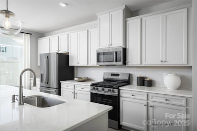 1013 Bracken Hill Rd unit 3014B, Indian Trail, NC 28079 - photo 3