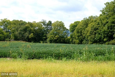 3712 Petersville Rd, Knoxville, MD 21758 - photo 6