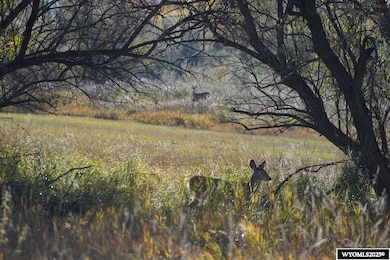 Lot 2 Heron Sedge Ct, Sheridan, WY 82801 - photo 3