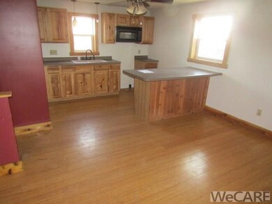 502 E Benton St, Wapakoneta, OH 45895 - photo 2