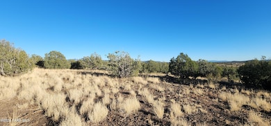 88-A Rose Ln, Ash Fork, AZ 86320 - photo 5