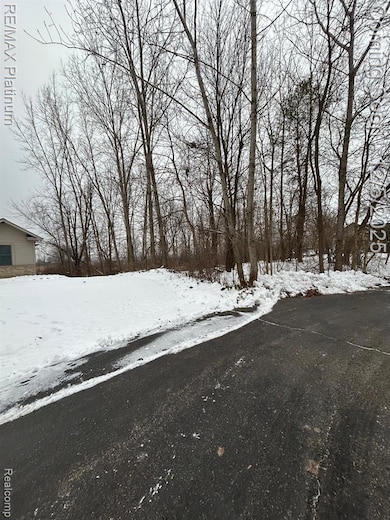 13480 Bryson Ct, Fenton, MI 48430 - photo 2