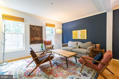 717 Massey Ln unit A, Alexandria, VA 22314 - photo 7