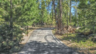 Gated, Asphalt Drive into the Property