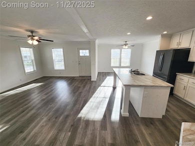 650 W Adrian St, Blissfield, MI 49228 - photo 6