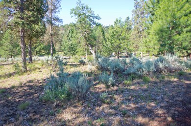 Lot06