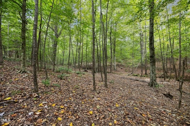 Lot 3 Wolf Tree Way, Efland, NC 27243 - photo 6