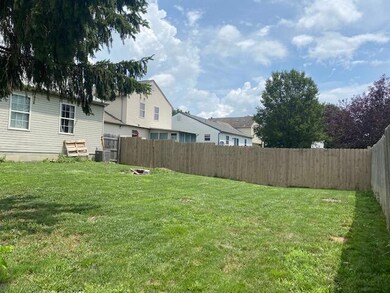 Backyard 4