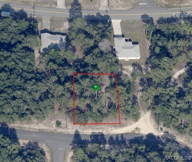 11373 N Kenney Loop, Citrus Springs, FL 34433 - photo 4