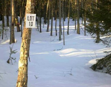 Land/Lot.