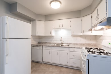 17227 71st Ct unit 11, Tinley Park, IL 60477 - photo 4