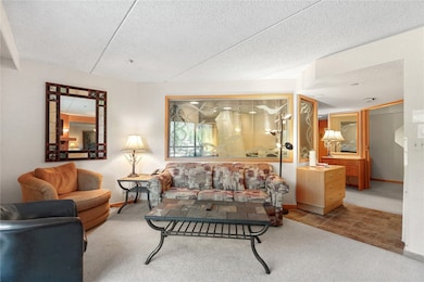Living room featuring carpet flooring and a textured ceiling
