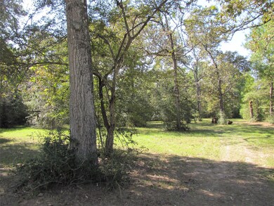 29520 Tudor Way, Magnolia, TX 77355 - photo 7