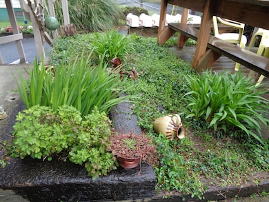 Entry landscaping