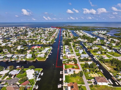 5016 Cedarbrook Ln, Hernando Beach, FL 34607 - photo 4