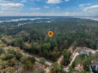 0 Pintail Lot 11, Flint, TX 75762 - photo 7