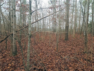 00 Scott Ln, Pelzer, SC 29669 - photo 7