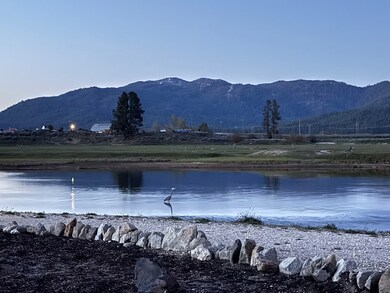 Watch The Blue Heron Fish
