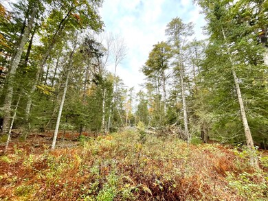 108 Flying Point Rd, Freeport, ME 04032 - photo 5