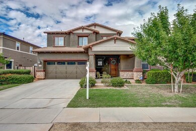Grassy Front Yard