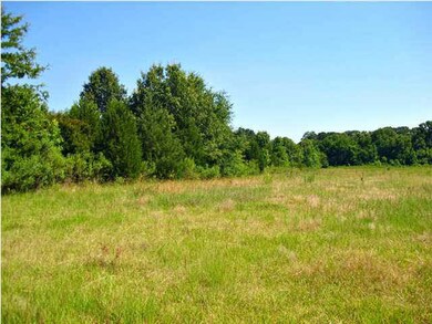 Mature trees surrounding land!