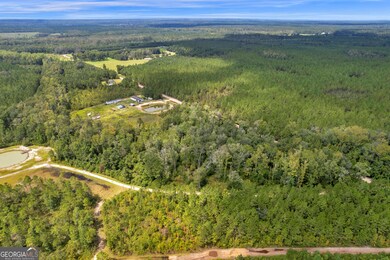 1139 Henry Walcott Rd NW, Ludowici, GA 31316 - photo 2