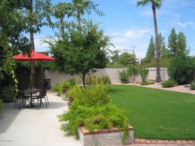 Backyard 2