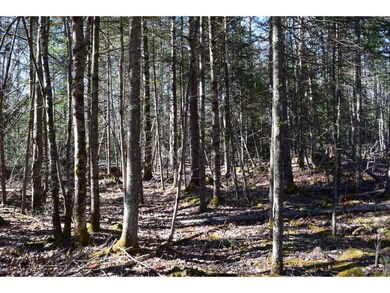 0 Bailey Rd, Jefferson, NH 03583 - photo 3