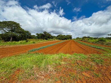 0 Puueo Mauka Dr, Hilo, HI 96720 - photo 4