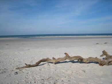 Bayview Beach Nov 2011 003