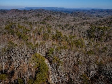 4.78 Ac Bell Ct, Ranger, GA 30701 - photo 4