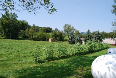 back yard view