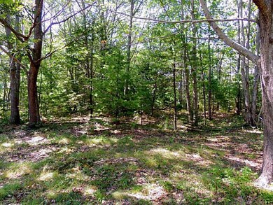Land/Lot.