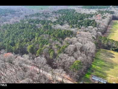 TurkeyBuzzardLn-3