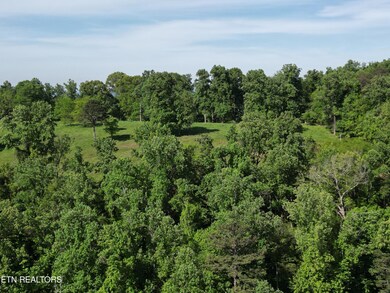 Tract 2 Highway 92, Rutledge, TN 37861 - photo 3