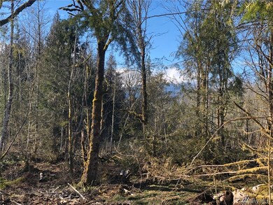 22 Nickelbush Rd, Quilcene, WA 98376 - photo 2