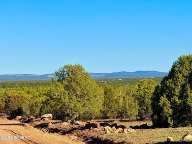 TBD Mustang Ln Lots F & H 5 Acre --, Show Low, AZ 85901 - photo 3
