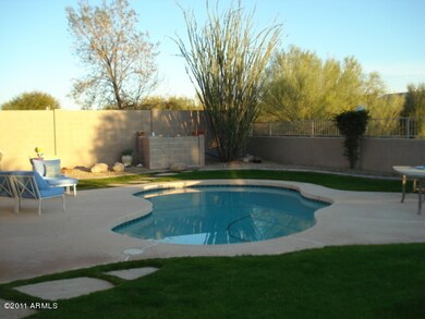 Beautiful Pool