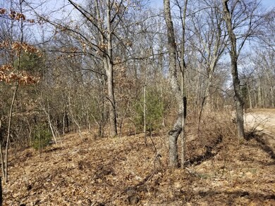 8821 30th Ave, Merrill Township, MI 49309 - photo 5